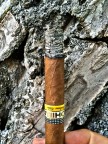 Uno scatto non cercato, mi ha trattenuto diverso tempo a riflettere su questo accostamento, il tabacco  come il legno, la cenere  come la corteccia.

Certamente nessuna particolare rilevanza tecnica, solo un piccolo instante di intimit caturato, che una volta svanito voglio condividere con voi!