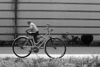 Bici