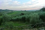 PAESAGGIO SENESE