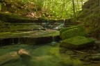 Torrente dell'Appennino Tosco Romagnolo