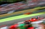 Kimi_Tricolore
