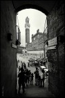 Welcome to Siena