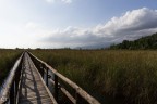 Massaciuccoli Highway