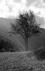 In panchina