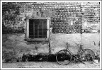 Bici in cascina