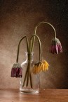 3 fiori