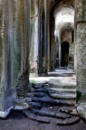 Piscina Mirabilis