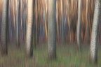 Boschina Blur