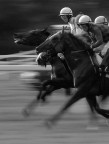 l'arrivo