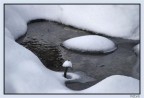 particolare neve 2