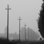 Nella nebbia