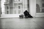 La banca e l'accatone