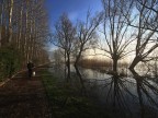 Bagliori d'Autunno