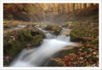 As_saggio d'autunno
