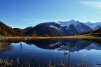riflessi d'autunno