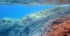 Il cielo sopra il fondale