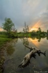 Parco Settimo