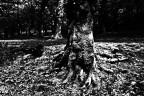 natura contaminata