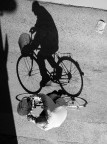 shadow