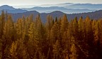 Altopiano di Asiago