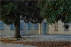 Villa Conti Cicogna