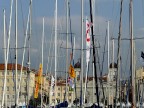 Contest Alberi
