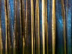 Panning verticale su cavalletto con testa a 3 movimenti, 
1/8",
bosco di betulle
postproduzione minima