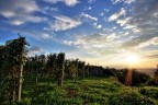 10 MM ISO 100 F22 1/20-1/80-1/5
