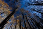 questo autunno