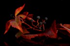 Nikon D5100 18/55 vr
focal lenght 35mm
iso 100   F/5    3"

Leggero aumento del contrasto