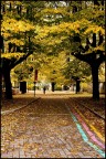 CAOS d'autunno