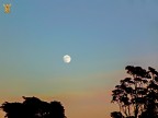 tramonto con la luna ( Ventimiglia )