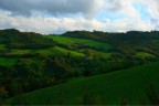 In tutte le cose della natura esiste qualcosa di meraviglioso.
Aristotele