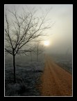 Esta es una imagen que describe el amanecer en una zona rural castellano-manchega de Espaa.
Ojal les guste.