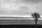 novembre in Emilia