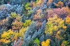 Presento un'immagine astratta dell'altopiano silano. I colori si miscelano come in una tavolozza di un pittore impressionista