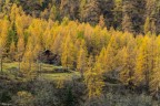 Autunno