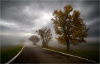 dove va la strada?
