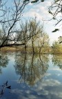 riflesso, riflusso ;/)