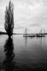 Come d'autunno gli alberi nel lago
