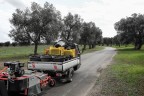 Nord Salento