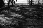 Fondo bianco