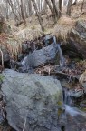 ruscello di bosco...