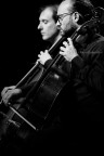 Musicanti