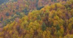 Panorama di Taverna. Per tirar questo scatto stavo rischiando un incidente, ma son dettagli :)) spero sia valsa la pena.