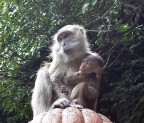 Madre e figlio