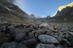 ...ma ancora un saluto a Grandes Jorasses e compagnia.
Dalla morena del Fraboudze (Val ferret italiana, gruppo del Bianco), con samyang 14 mm.