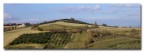 Paesaggio collinare!!!