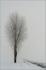 Di neve...e nebbia