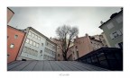 L'assedio